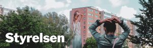 Styrelsen